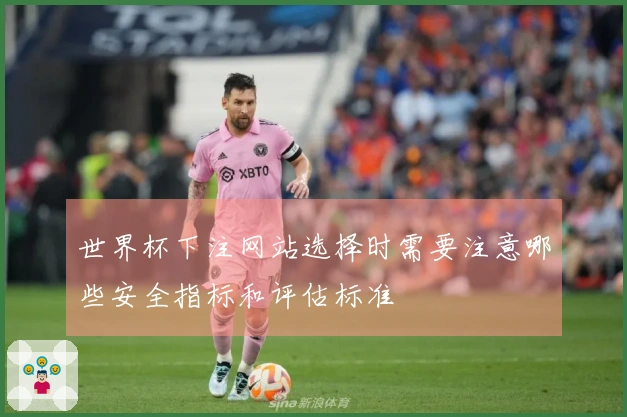世界杯下注网站选择时需要注意哪些安全指标和评估标准