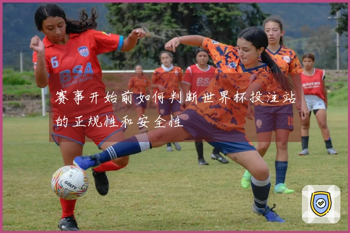 赛事开始前如何判断世界杯投注站的正规性和安全性