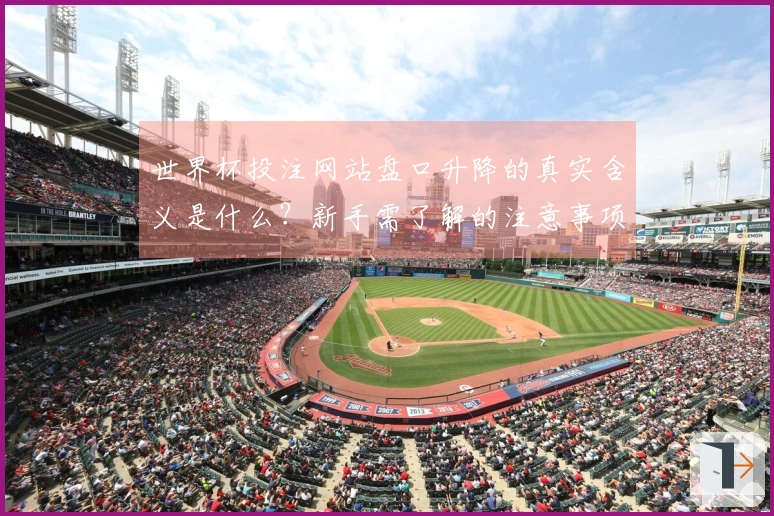 世界杯投注网站盘口升降的真实含义是什么？新手需了解的注意事项