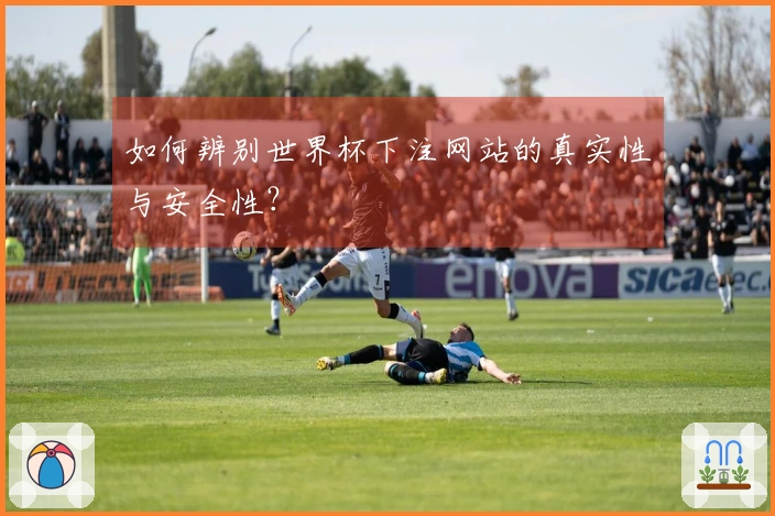 如何辨别世界杯下注网站的真实性与安全性？