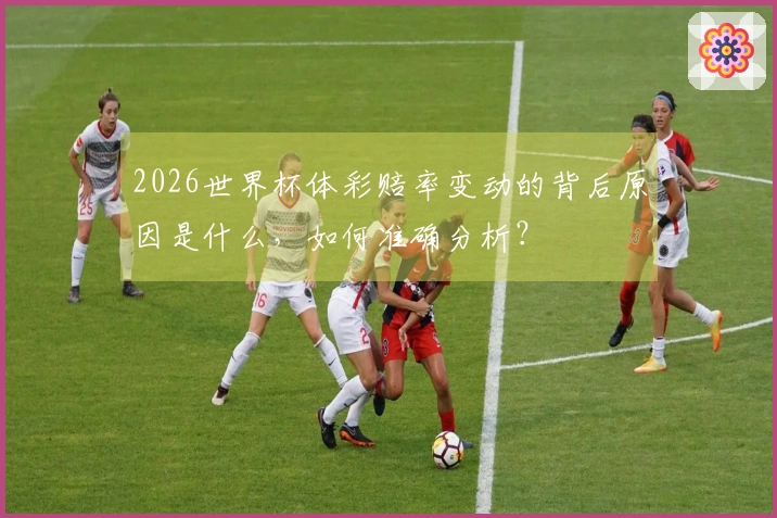 2026世界杯体彩赔率变动的背后原因是什么，如何准确分析？