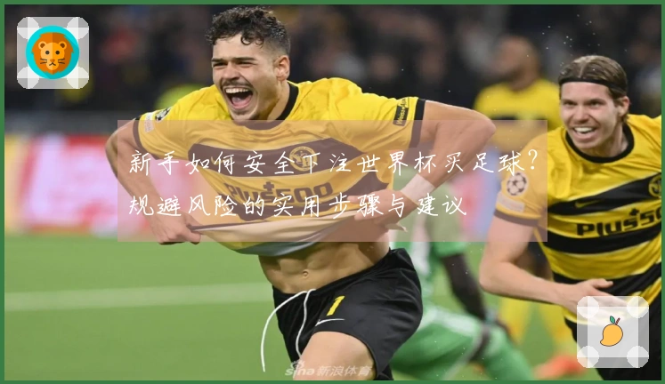 新手如何安全下注世界杯买足球？规避风险的实用步骤与建议