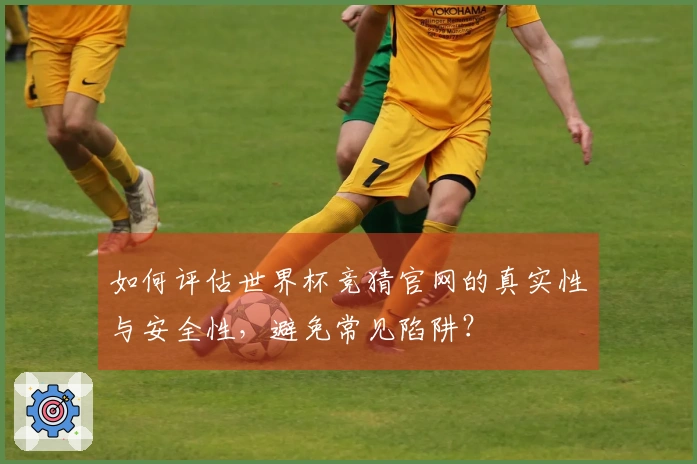 如何评估世界杯竞猜官网的真实性与安全性，避免常见陷阱？