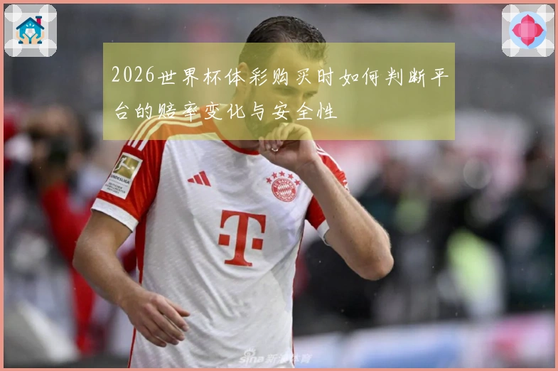 2026世界杯体彩购买时如何判断平台的赔率变化与安全性