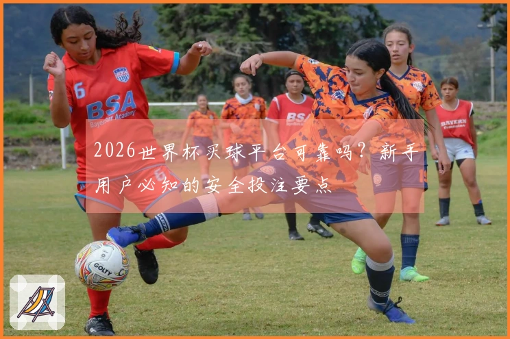 2026世界杯买球平台可靠吗？新手用户必知的安全投注要点