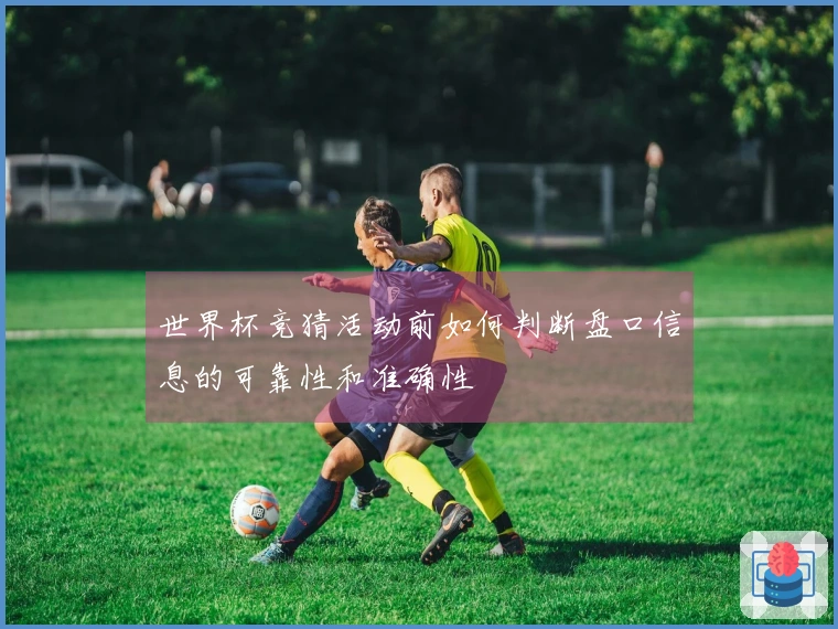 世界杯竞猜活动前如何判断盘口信息的可靠性和准确性