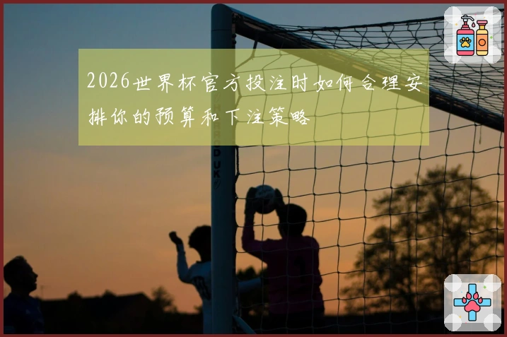 2026世界杯官方投注时如何合理安排你的预算和下注策略