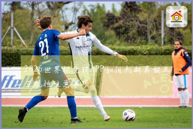 2026世界杯竞猜APP如何判断真假及正规性注意事项