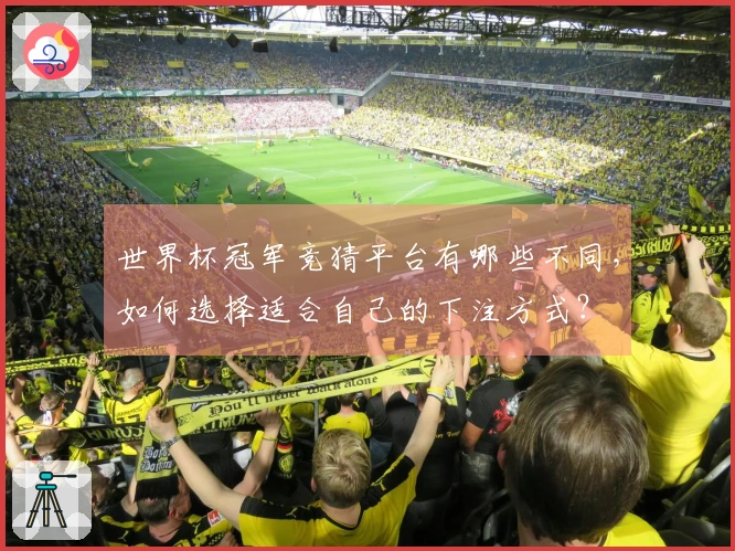 世界杯冠军竞猜平台有哪些不同，如何选择适合自己的下注方式？