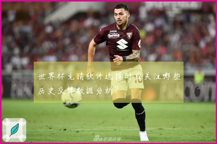 世界杯竞猜软件选择时应关注哪些历史交锋数据分析？