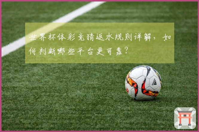 世界杯体彩竞猜返水规则详解，如何判断哪些平台更可靠？