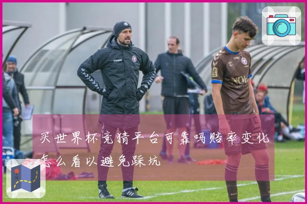 买世界杯竞猜平台可靠吗赔率变化怎么看以避免踩坑
