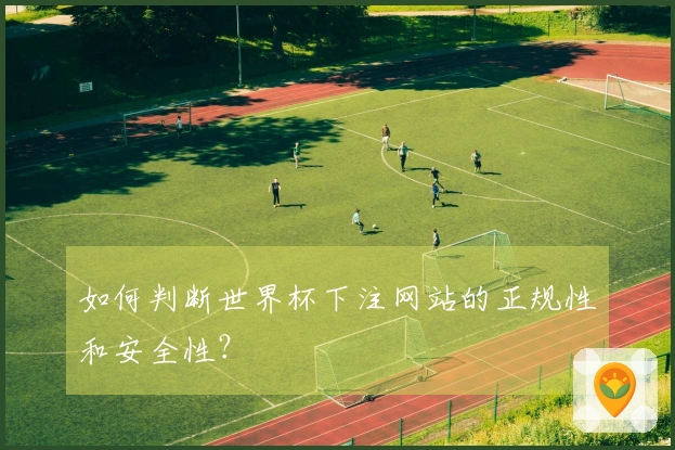 如何判断世界杯下注网站的正规性和安全性？