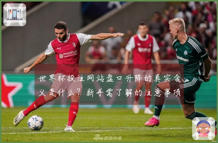 世界杯投注网站盘口升降的真实含义是什么？新手需了解的注意事项