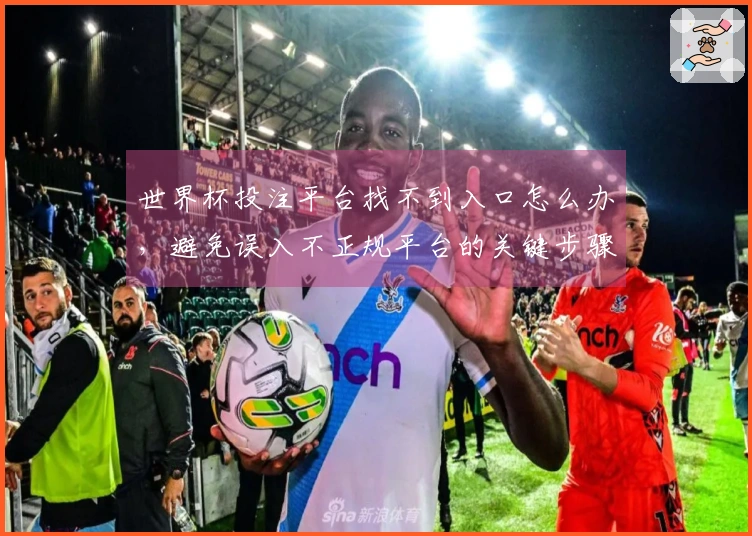 世界杯投注平台找不到入口怎么办，避免误入不正规平台的关键步骤
