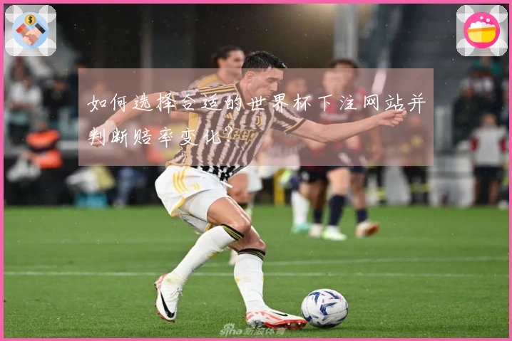 如何选择合适的世界杯下注网站并判断赔率变化？