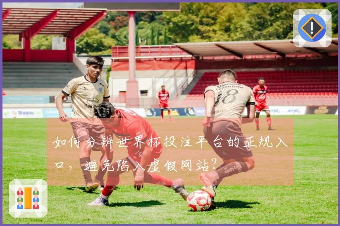 如何分辨世界杯投注平台的正规入口，避免陷入虚假网站？