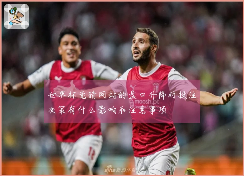 世界杯竞猜网站的盘口升降对投注决策有什么影响和注意事项