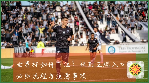 世界杯如何下注？识别正规入口的必知流程与注意事项