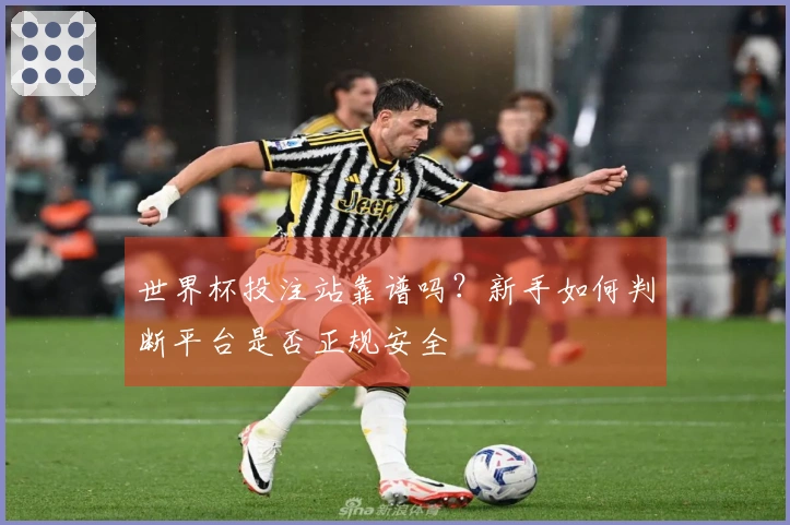世界杯投注站靠谱吗？新手如何判断平台是否正规安全