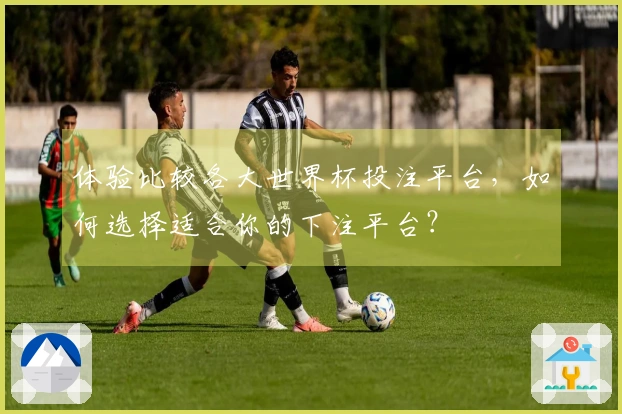 体验比较各大世界杯投注平台，如何选择适合你的下注平台？