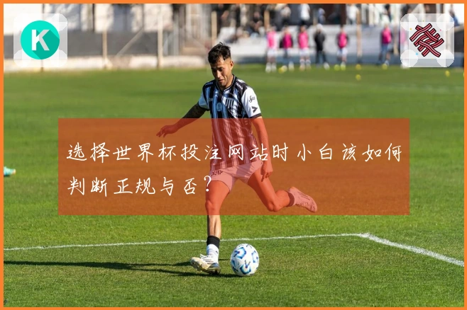选择世界杯投注网站时小白该如何判断正规与否？