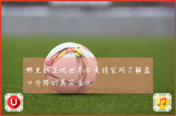 哪里找正规世界杯竞猜官网了解盘口升降的真实含义