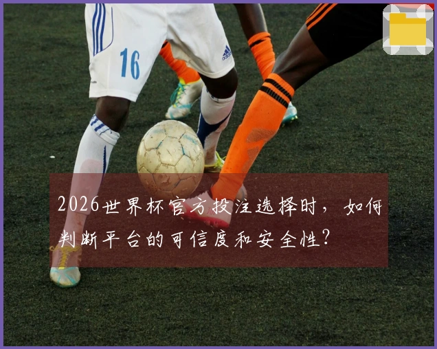 2026世界杯官方投注选择时，如何判断平台的可信度和安全性？