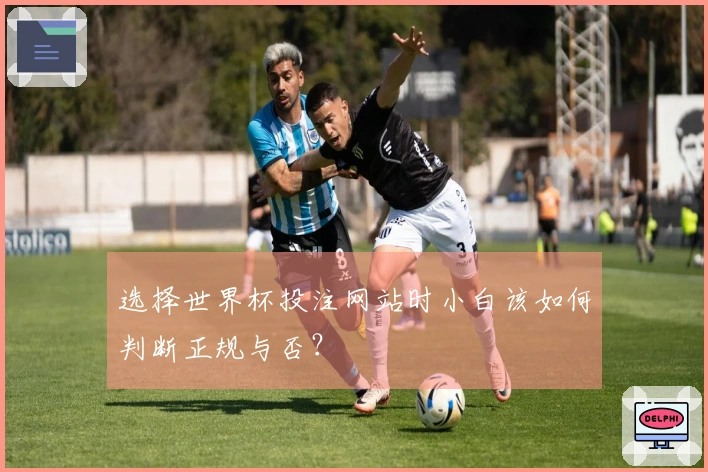 选择世界杯投注网站时小白该如何判断正规与否？