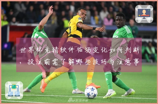 世界杯竞猜软件临场变化如何判断，投注前需了解哪些技巧与注意事项