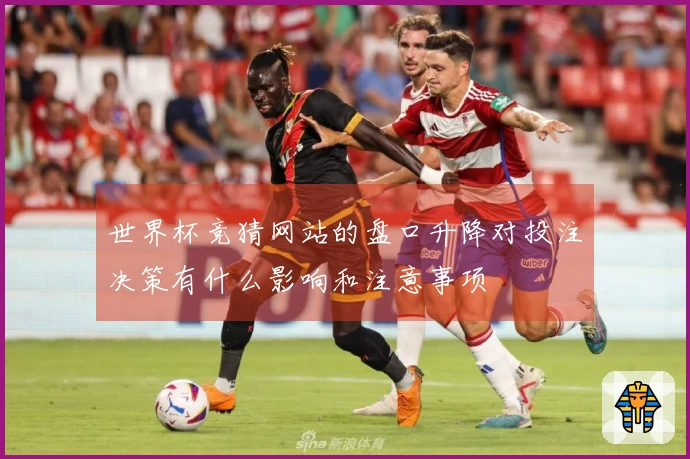 世界杯竞猜网站的盘口升降对投注决策有什么影响和注意事项