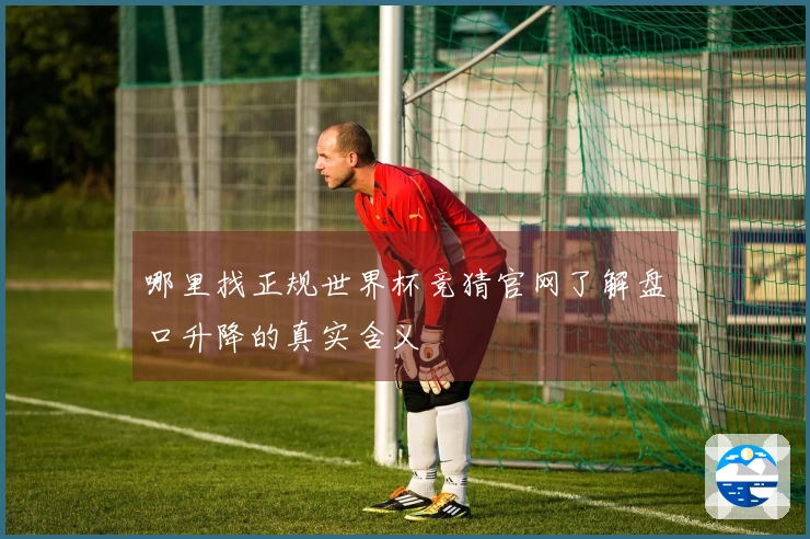 哪里找正规世界杯竞猜官网了解盘口升降的真实含义