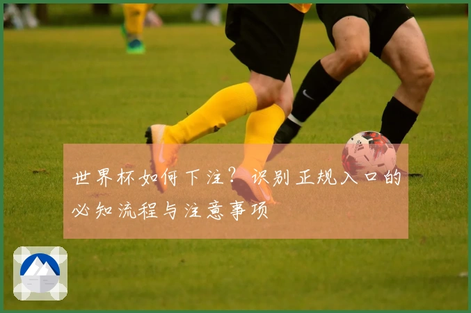世界杯如何下注？识别正规入口的必知流程与注意事项