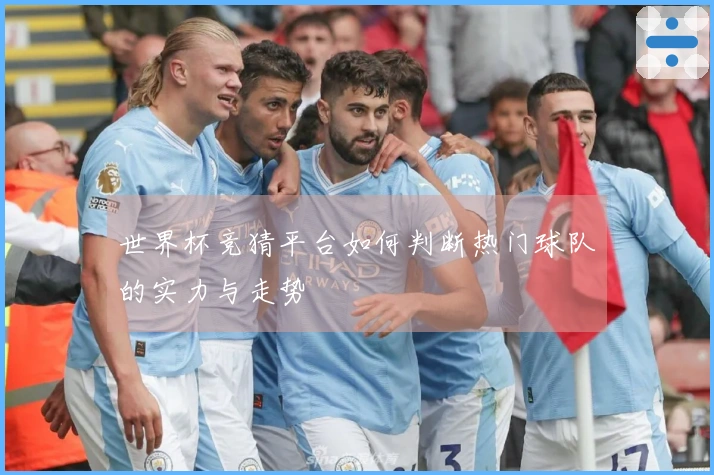 世界杯竞猜平台如何判断热门球队的实力与走势